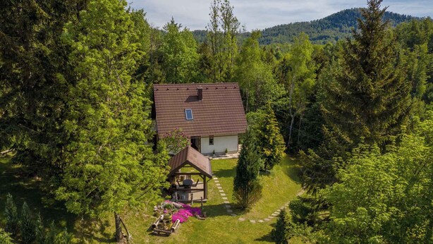 A house surrounded by dense forest with a clear view of the surrounding nature.