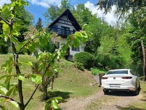 Exterior - Holiday home with terrace and large garden (Delnice)