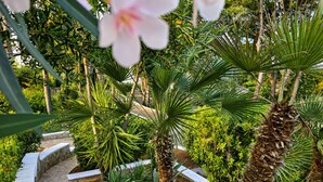 Un jardin avec des palmiers, un sentier et une fleur.