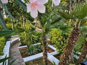 Property grounds - Villa Rai · Countryside Retreat w/ Pool-7 min from Ostuni, 15 min from the beach (Ostuni)
