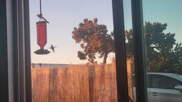 Vista desde la propiedad