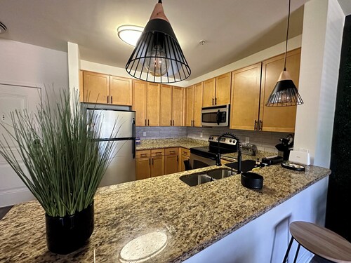 Modern : : :  200 yards from Metro station, Quick access to DCA,National Harbor!