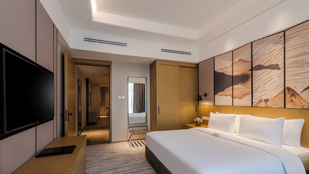 Una habitación de hotel moderna con una cama grande, un televisor de pantalla plana, un escritorio y un vestidor.