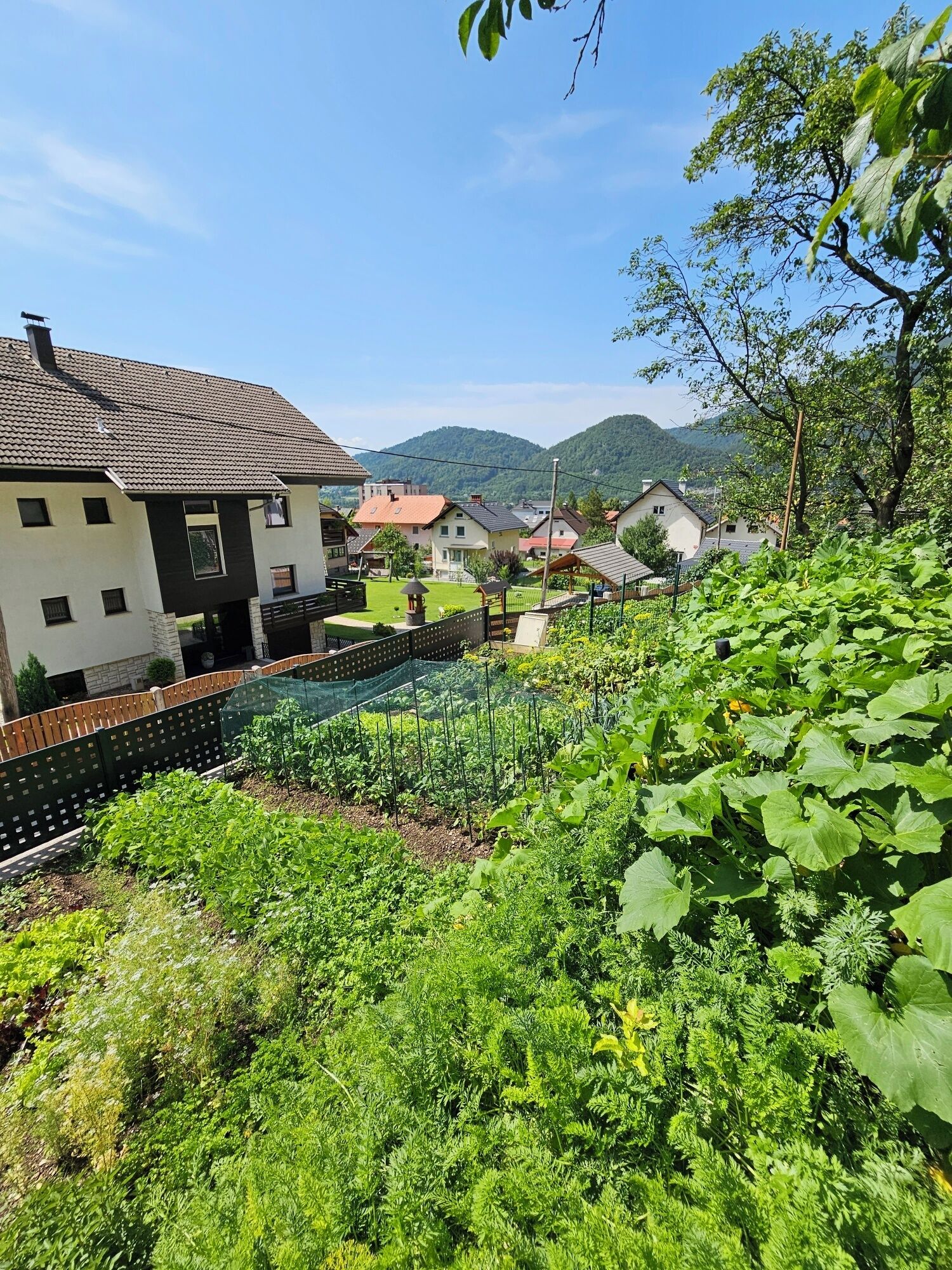 Áreas de la propiedad