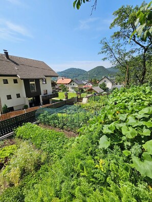 Un quartier résidentiel avec des maisons, un jardin et un paysage montagneux en arrière-plan.
