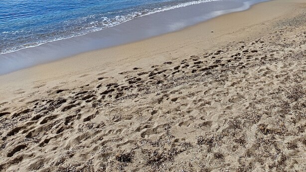 A beach with clear blue water, sandy shore, and distant hills. - Charmant 2 Pièces Avec Jardinet (les issambres)