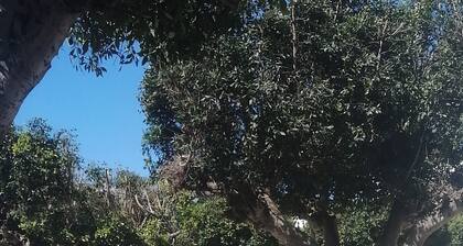 Salty apartment in a good location