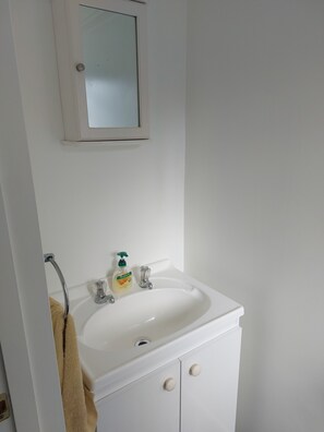Hair dryer, towels, soap, shampoo - Rural in the City (Palmerston North)