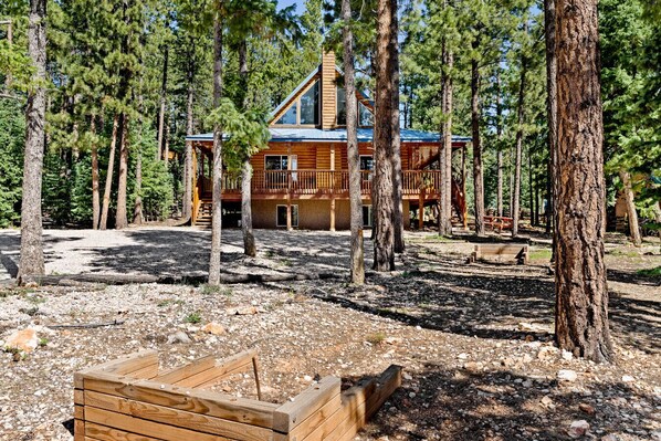 Exterior - Blue Pine Lodge! Fire Pit! (Duck Creek Village)