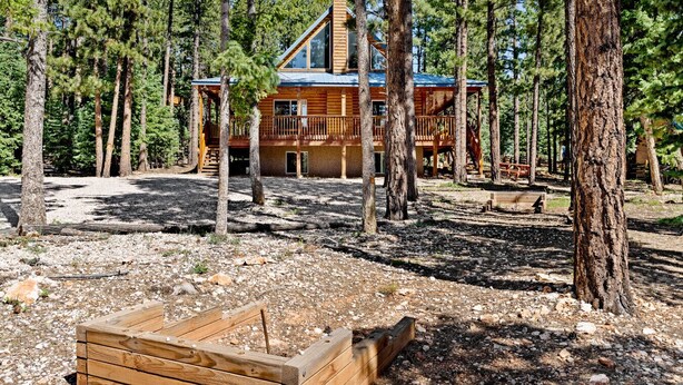 A cabin surrounded by tall pine trees.