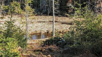 A natural landscape with a forested area, a small body of water, and a clear sky.