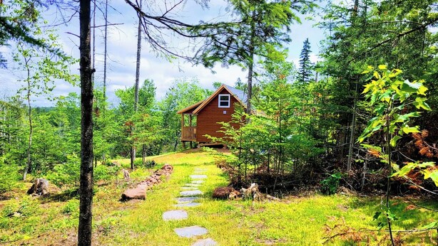 A wooden cabin with a stone pathway leading to it, surrounded by dense forest. - Miracles on Polly - Memory Lane Cabin (Belfast)