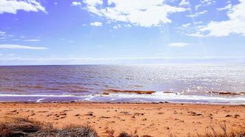 Une plage avec un ciel dégagé et une mer calme.