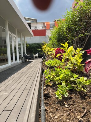 Property grounds - Hermoso Loft en el Centro Ciudad de México (Cuauhtémoc)