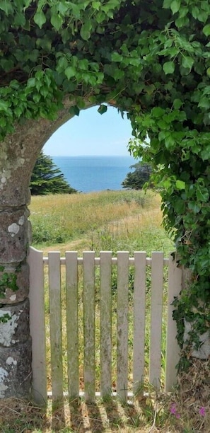 Enter a serene natural oasis through this charming gate, surrounded by lush foliage and a tranquil body of water.