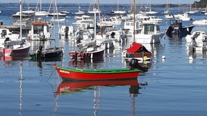 A marina with various boats docked.