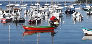Boats bob gently in the marina's calm waters, offering serene views of the surrounding landscape.