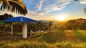 Property grounds - Finca El Recuerdo, Vergara. (Vergara)