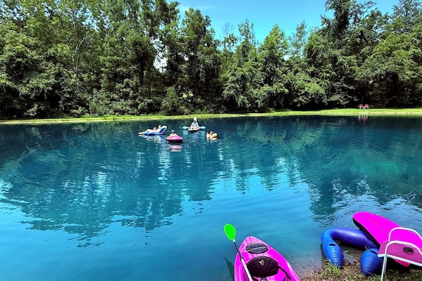 Your own paradise! 1 acre, 100 percent spring water swimming!