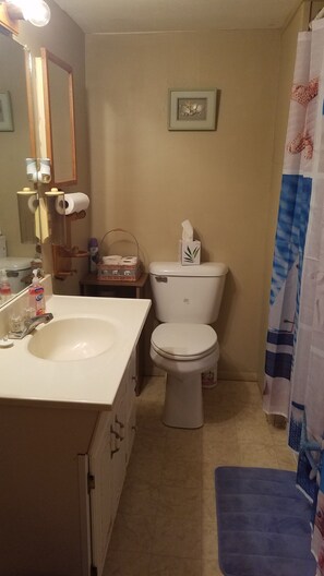 Sèche-cheveux, serviettes fournies, savon, shampoing