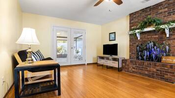 Smart TV, fireplace, books