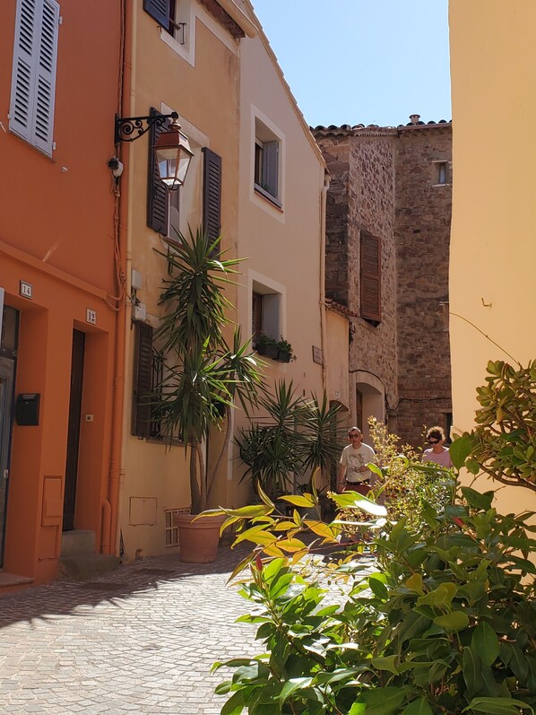 A narrow cobblestone street with buildings featuring shutters and balconies, surrounded by greenery.