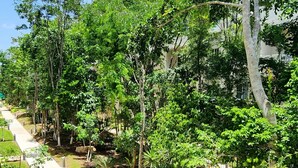 Un sentiero alberato e ricco di vegetazione che conduce a un edificio.
