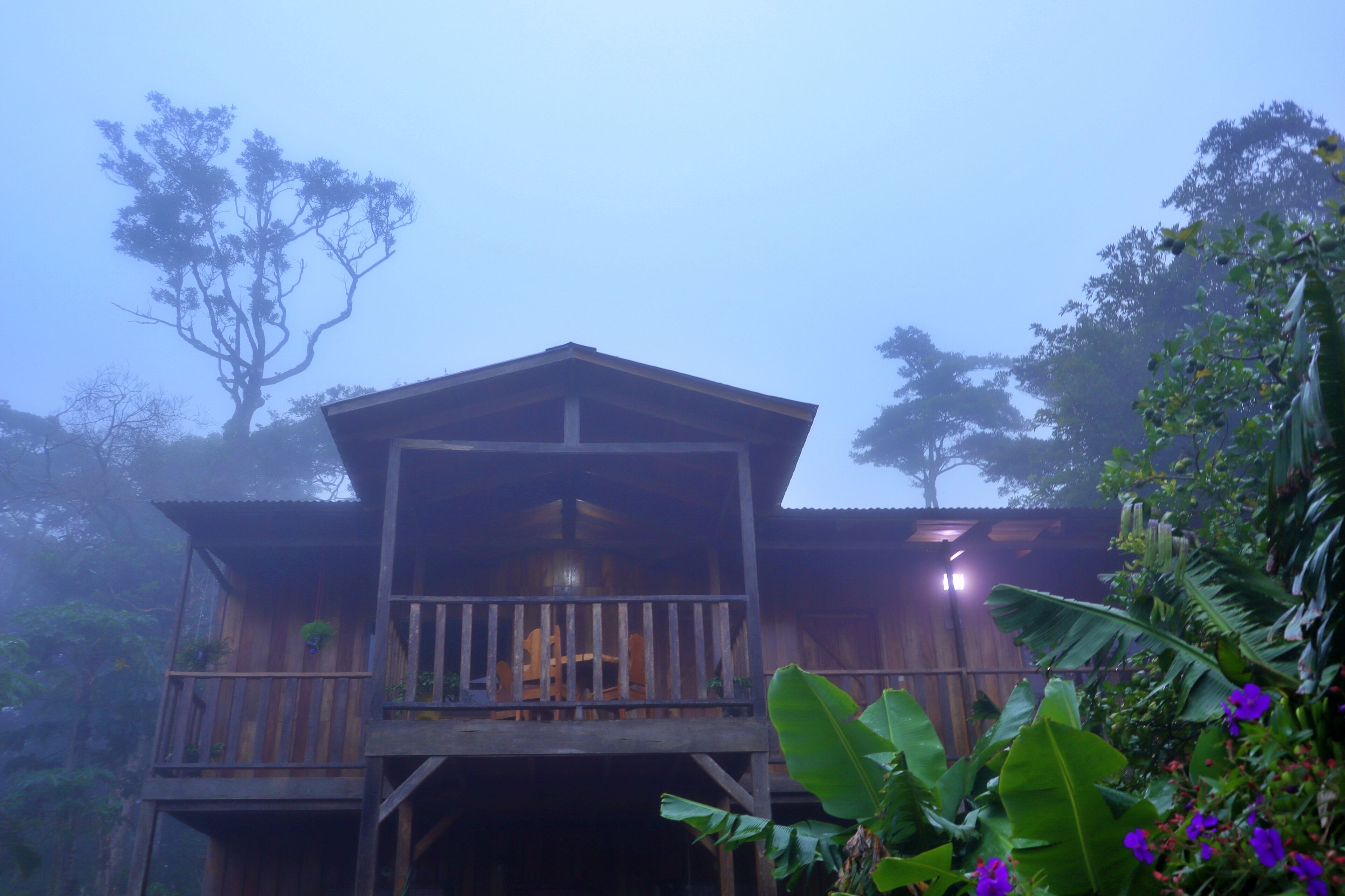 Jardín del Bosque Para Disfrutar la Naturaleza - Monteverde | Vrbo