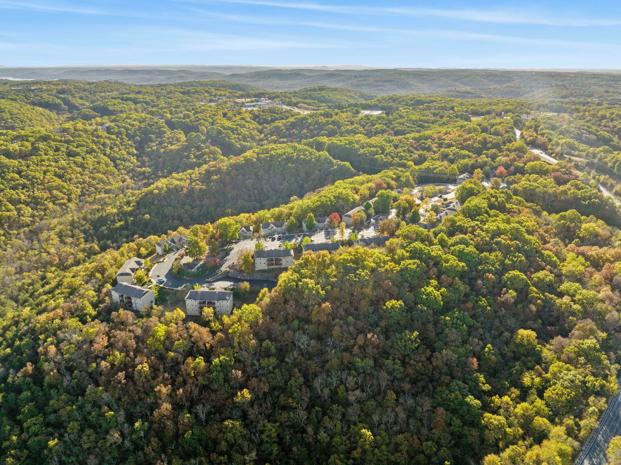 An aerial view of a residential area with houses surrounded by dense forest.