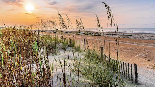 A beach with tall grasses and a wooden fence.