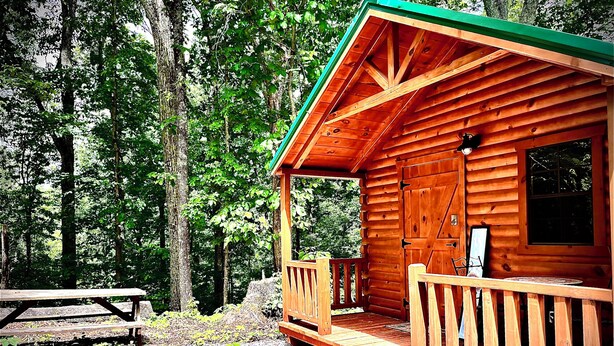 Une cabane en bois avec une véranda et une table de pique-nique, située dans une forêt.