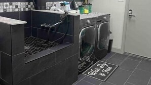 A compact laundry room with a washing machine, dryer, and a coffee maker on a counter.