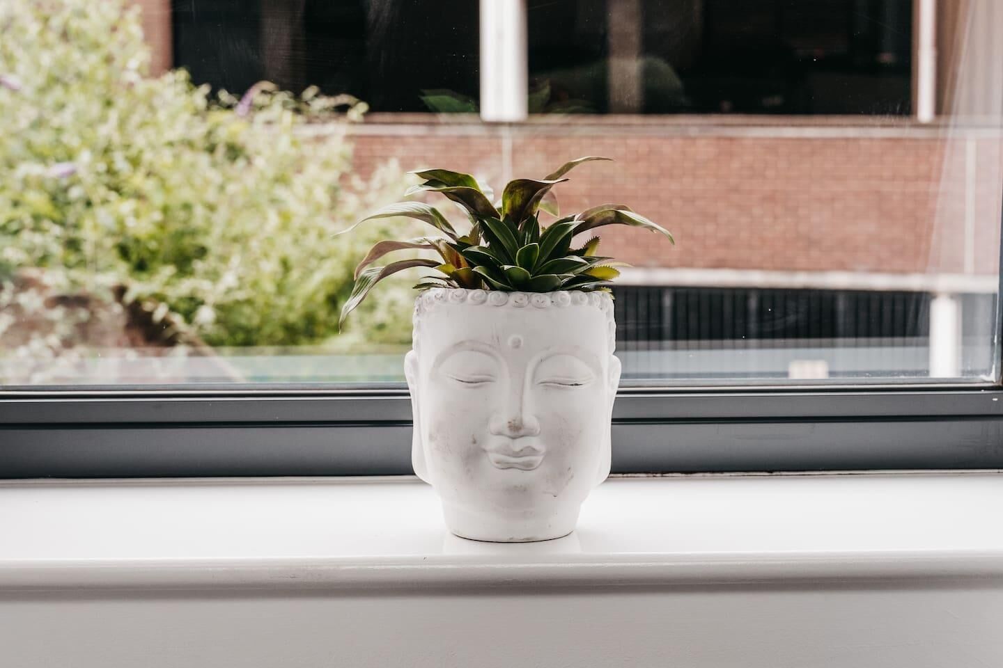 Un pot de fleurs en forme de statue de Bouddha blanche, dans lequel est plantée une plante, placé sur un rebord de fenêtre.