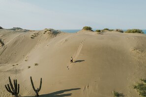 Experience the vast expanse of the desert landscape, where endless dunes and sparse vegetation stretch as far as the eye can see.