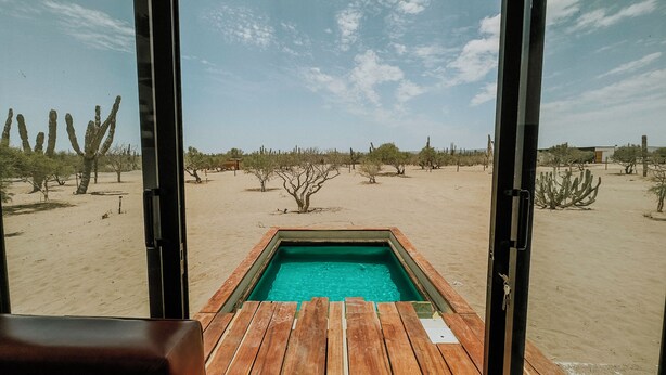 Una piscina con cubierta de madera, rodeada de vegetación desértica, vista a través de una ventana.