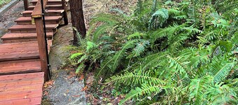 3 Bedroom Santa Cruz Private Mountain, house