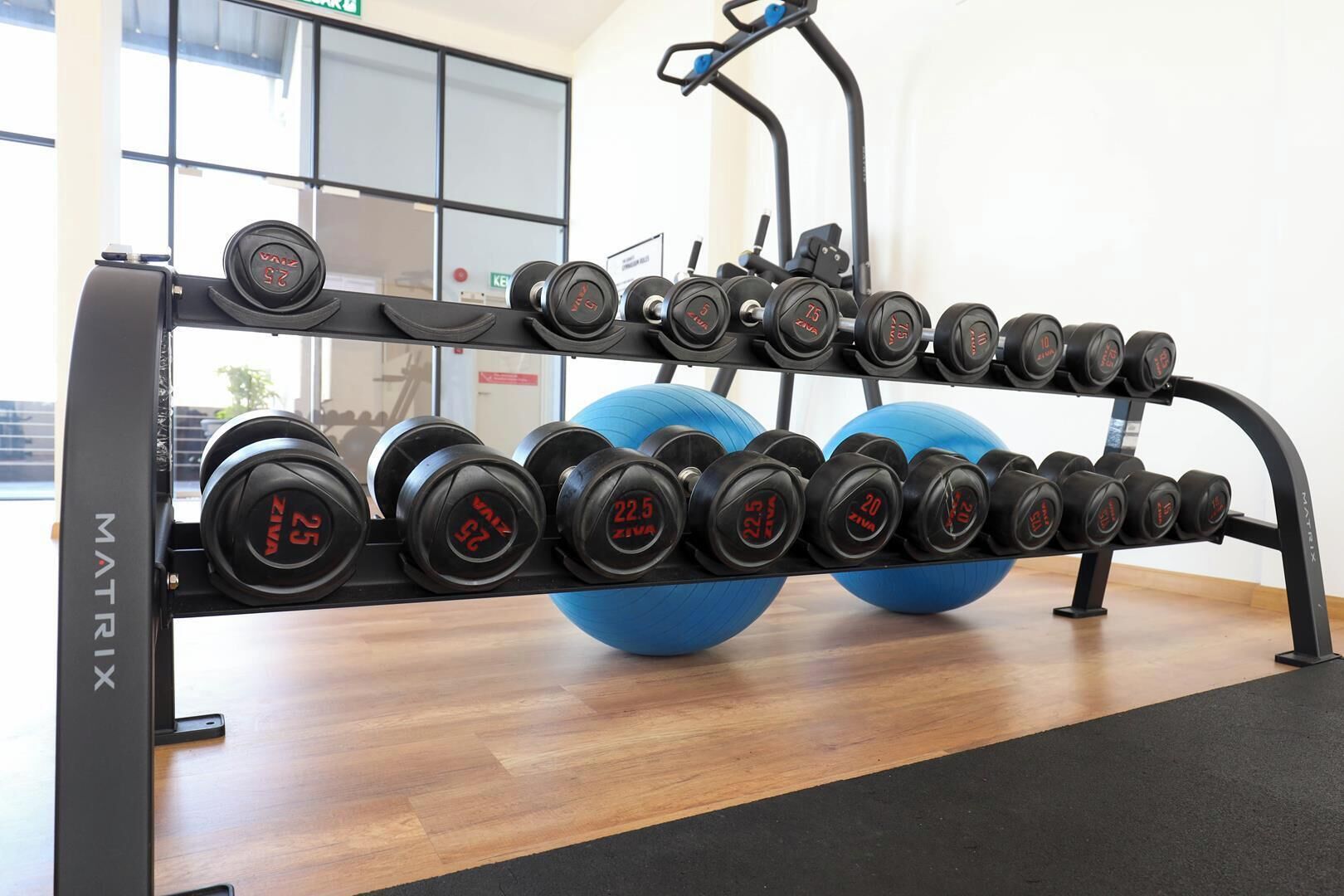 Ein Fitnessraum mit einer Gewichtbank und einer Hantelbank.