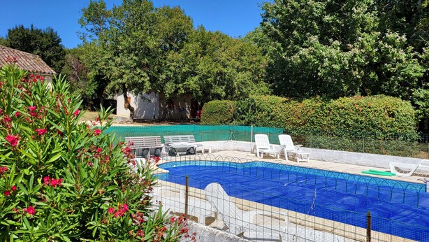 Una piscina rodeada de vegetación exuberante y sillas de descanso blancas.