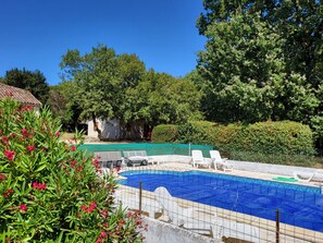 Une piscine entourée d’une végétation luxuriante et de chaises longues blanches.