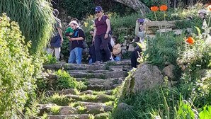 A stone staircase surrounded by lush greenery and flowers. - Sol y Luna Lodge Isla del Sol Bolivia (Isla del Sol)