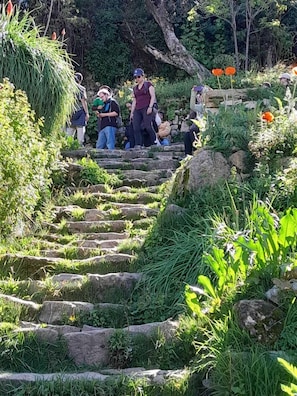 Un escalier en pierre, entouré d’une végétation luxuriante et de fleurs.
