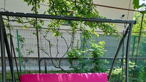 Un columpio rosado en un área verde con una valla y árboles al fondo.