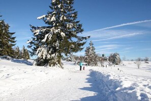 Sports d’hiver
