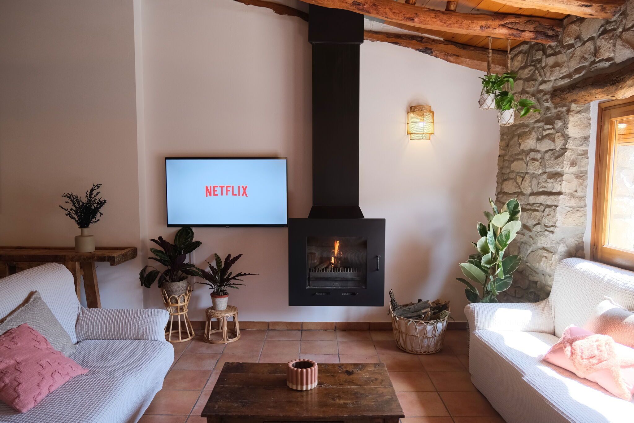 Smart-tv, pejs, dvd-afspiller, bordtennisbord