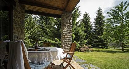 Chalet in Vielha near Baqueira Ski Resort