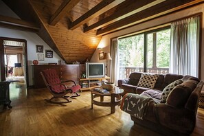 Smart TV, fireplace, stereo