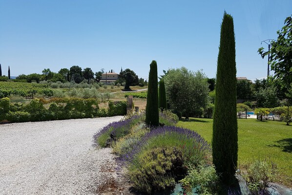 Property grounds - Villa in Saint-Pierre-de-Vassols with private pool (Saint-Pierre-De-Vassols)