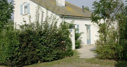Chalet auf Texel nahe Dünen & Wasser