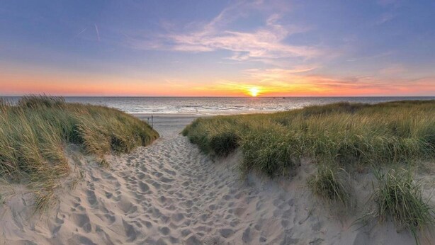 A beach path leading to the ocean with dunes on either side. - Thatched wellness villa near Texel Sea (De Koog)