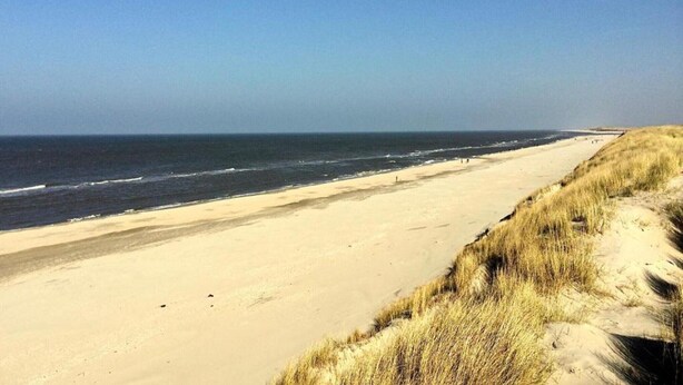 A beach with a sandy shore and dunes.